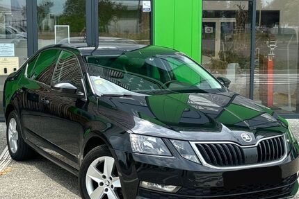 Skoda Octavia 260.000 km 8.490 &euro; Offenburg 77652