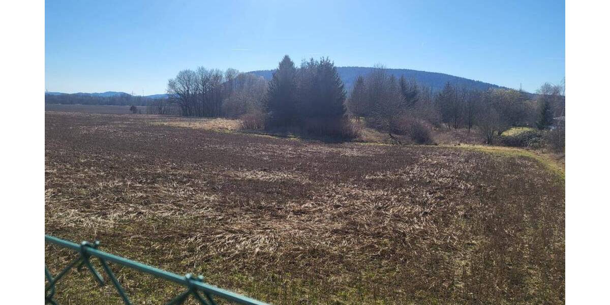 Grundstück Sonneberg Blechhammer - 24.000&euro; | Angebot:25985987