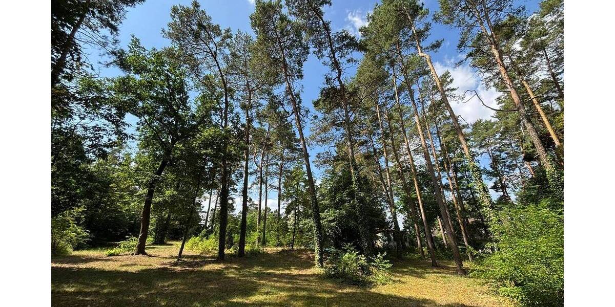 Grundstück Muldestausee Plodda - 140.000&euro; | Angebot:26037268