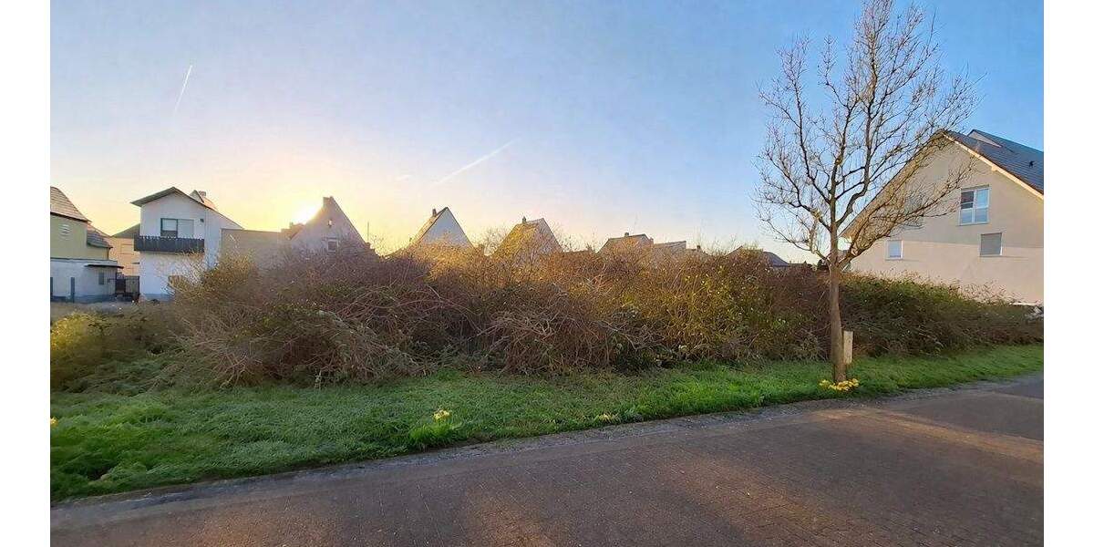 Grundstück Schifferstadt - 320.000&euro; | Angebot:25879566