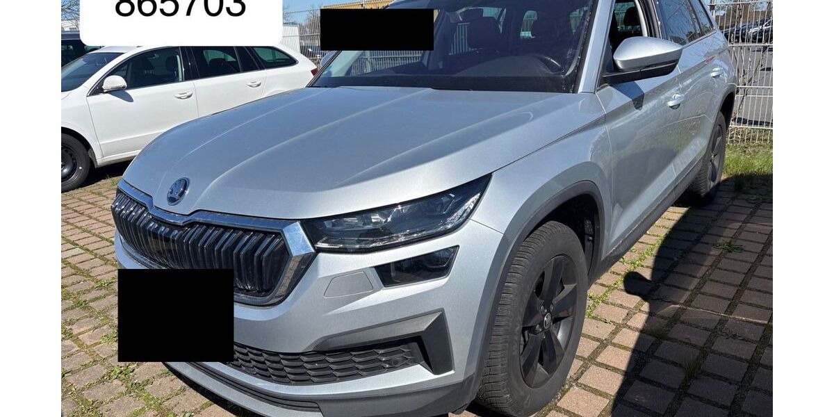 Skoda Kodiaq 200.000 km 22.450 &euro; Steinbach-Hallenberg OT Herges-Hallenberg 98587