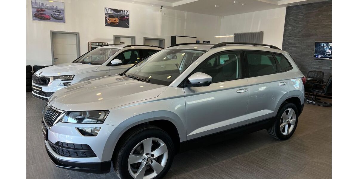 Skoda Karoq 151.564 km 17.485 &euro; Volkmarsen 34471
