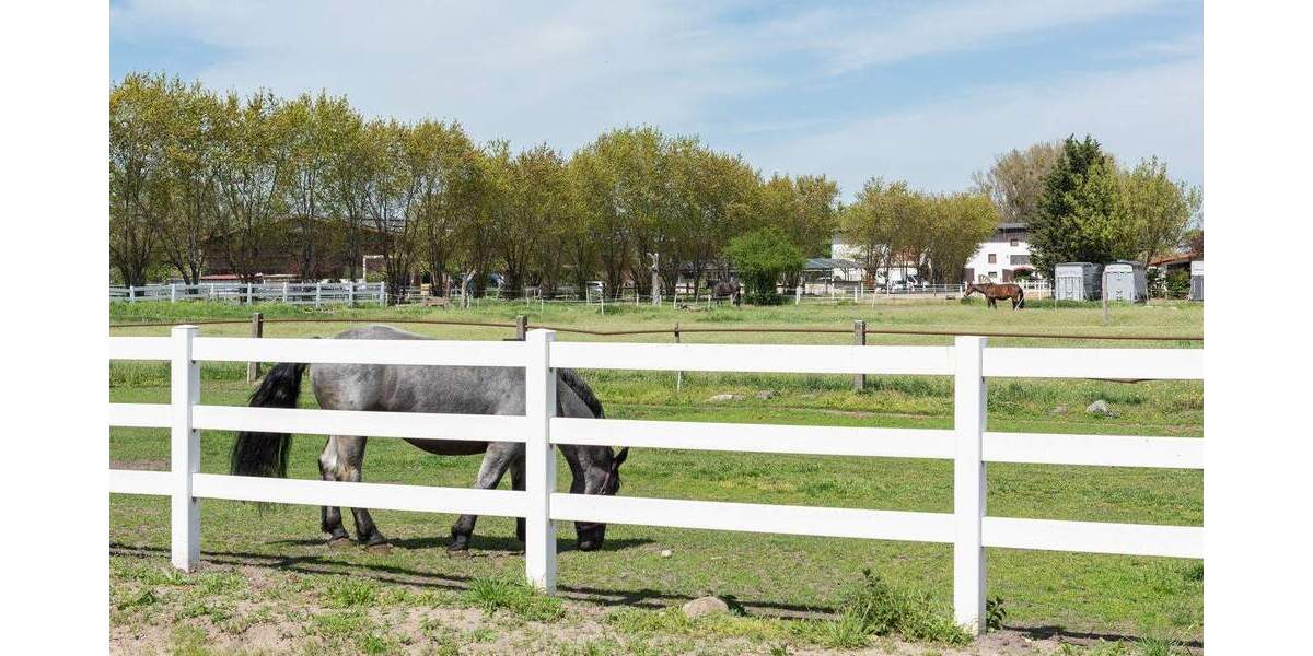 Ohne Käuferprovision! Vermietetes Reihenendhaus auf 3 Etagen. Direkt vom Eigentümer 4 zimmer