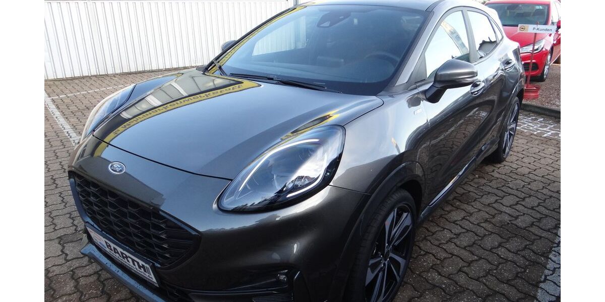 Ford Puma 16.025 km 19.890 € Weiskirchen 66709