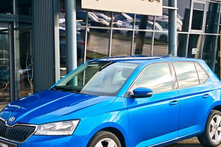 Skoda Fabia 58.193 km 10.890 &euro; Wissen 57537
