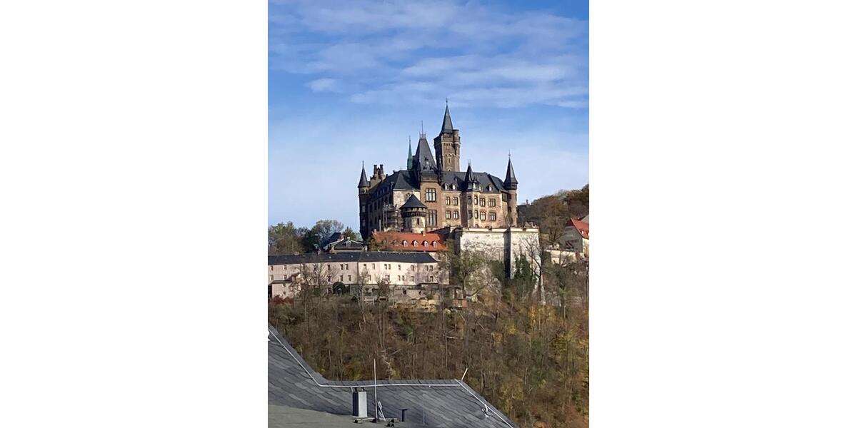 3-Raum-Wohnung mit Schloßblick zimmer