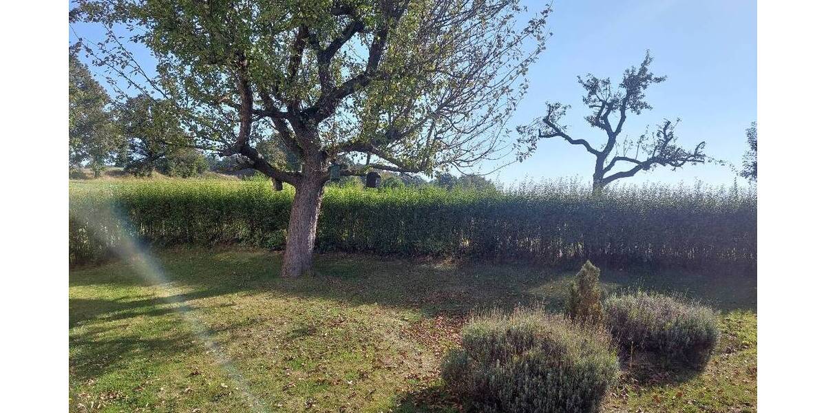 Einfamilienhaus Ebersburg Schmalnau - 1 Zimmer, 220.000&euro; | Angebot:26433952