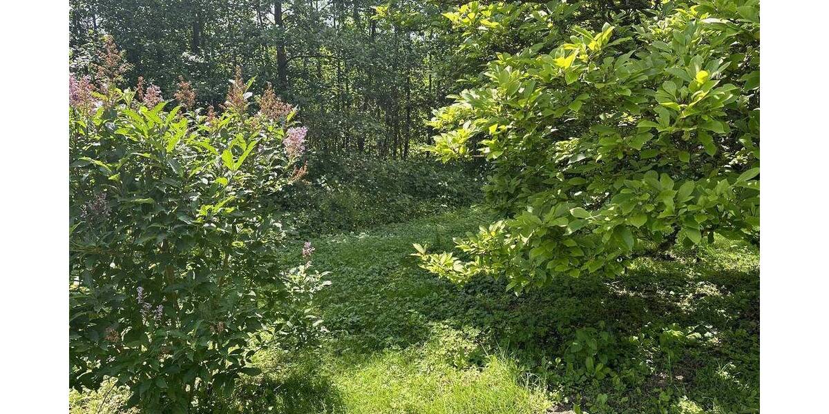 Einfamilienhaus Birkenfeld - 3 Zimmer, 108 m&sup2;, 215.000&euro; | Angebot:26107150