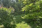 Einfamilienhaus Birkenfeld - 3 Zimmer, 108 m&sup2;, 215.000&euro; | Angebot:26107150