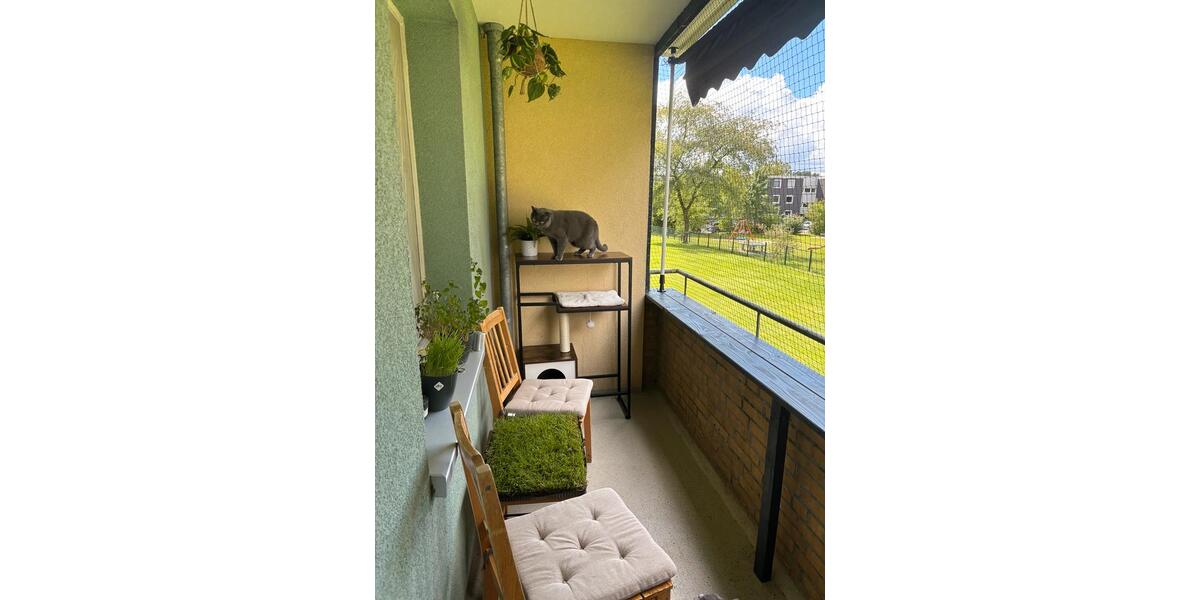 Erdgeschoßwohnung Lehre - 2 Zimmer, 57 m&sup2;, 650&euro; | Angebot:25415021