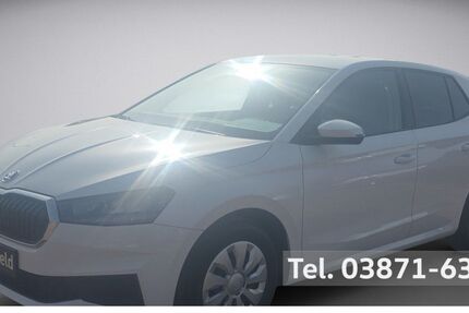 Skoda Fabia 79.100 km 13.950 &euro; Parchim 19370