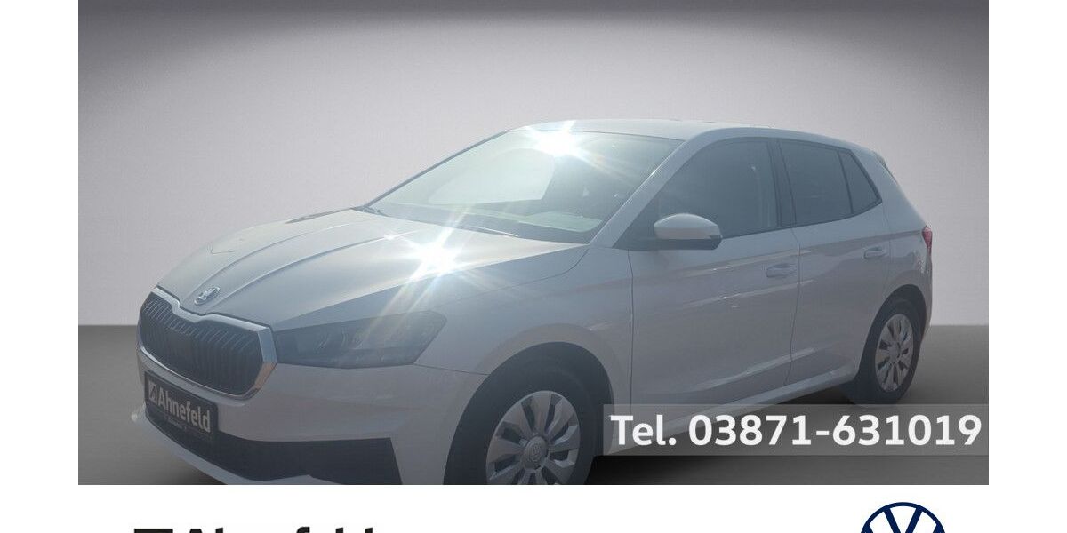 Skoda Fabia 79.100 km 13.950 &euro; Parchim 19370