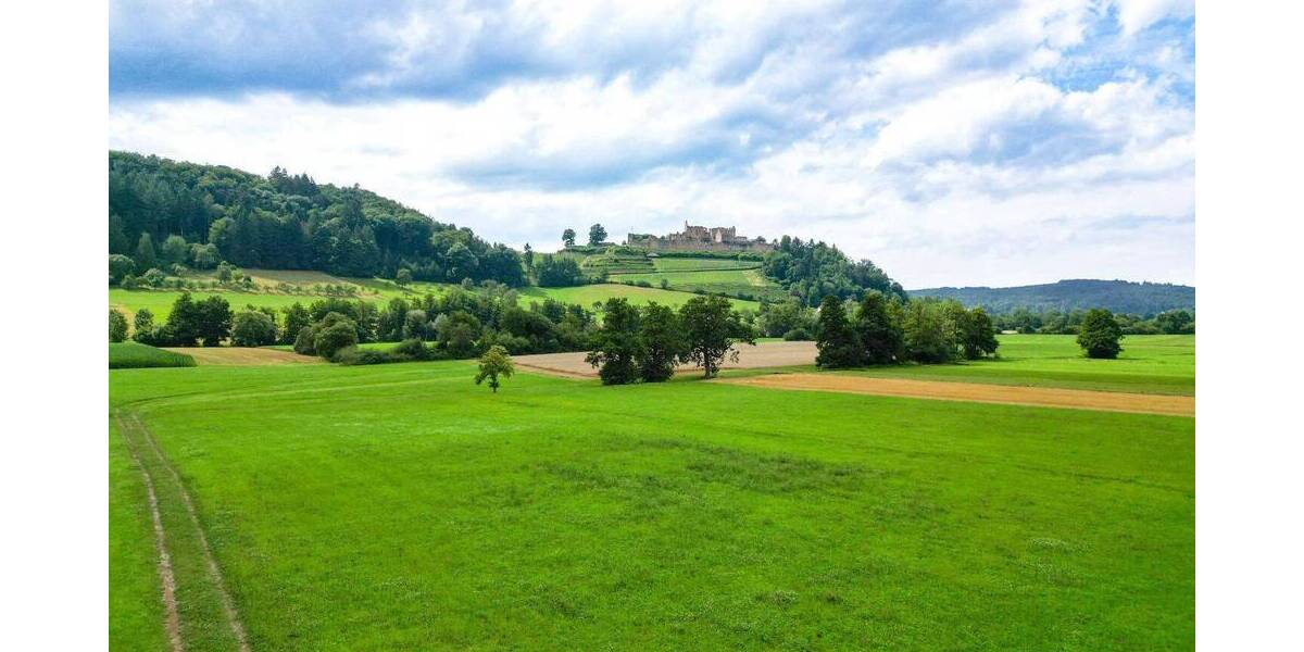 Großzügiges Baugrundstück mit Wiesengrundstücken und Wohnhaus in idylischer Lage von Sexau zimmer