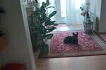 Bungalow Norden - 4 Zimmer, 180 m&sup2;, 425.000&euro; | Angebot:26963048