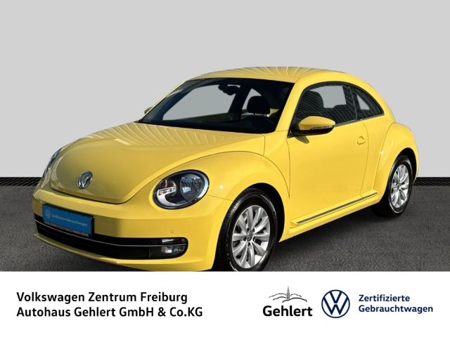 Beetle