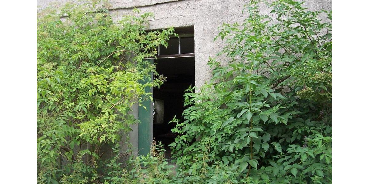 Doppelhaushälfte Gnoien - 12.500&euro; | Angebot:20547930