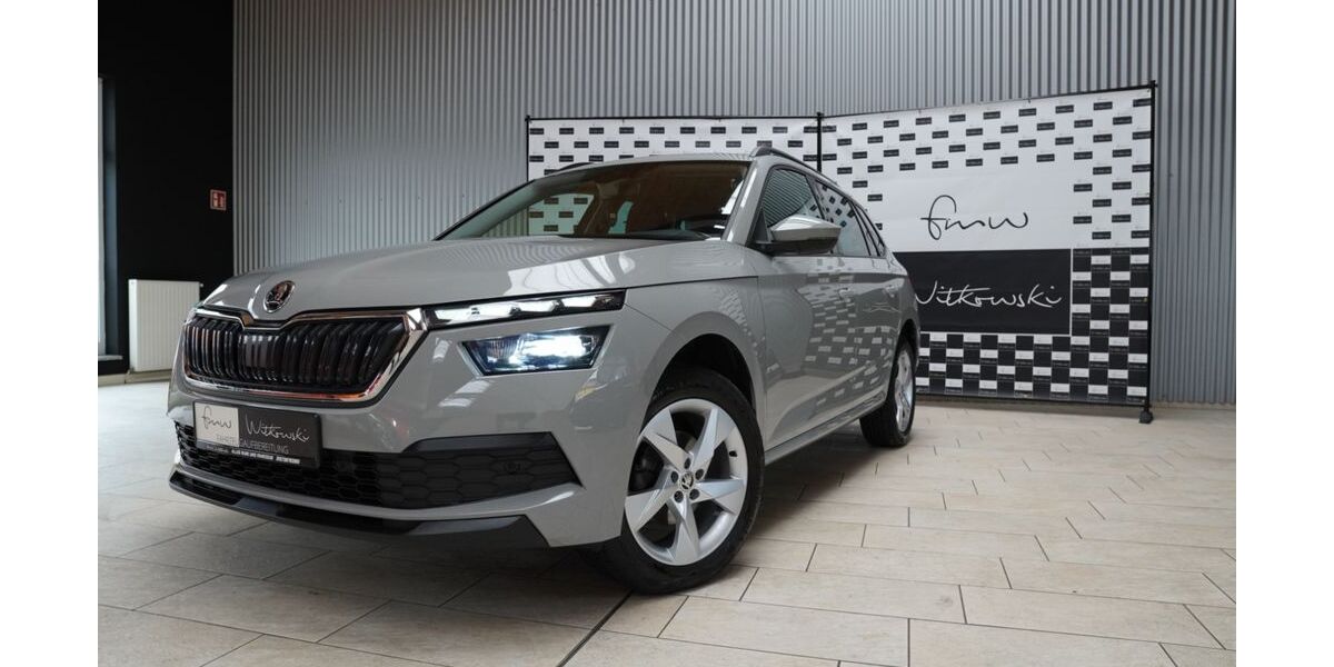 Skoda Kamiq 58.608 km 18.999 &euro; Raguhn-Jeßnitz 06779