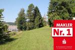Grundstück Erndtebrück Birkelbach - 20.000&euro; | Angebot:25667714