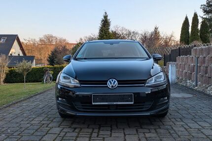 VW Golf 175.000 km 8.900 &euro; Leisnig 04703