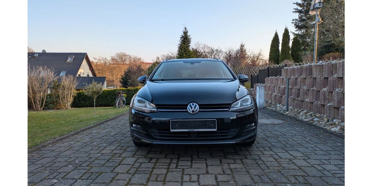VW Golf 175.000 km 8.900 &euro; Leisnig 04703