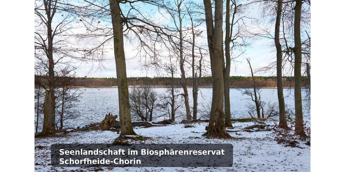 Erdgeschoßwohnung Joachimsthal - 2 Zimmer, 47 m&sup2;, 509&euro; | Angebot:25973989