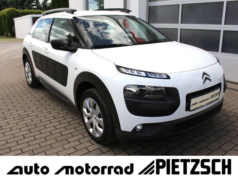 C4 Cactus