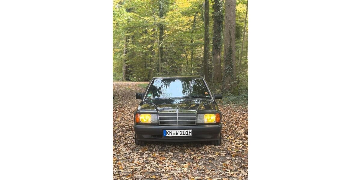 Mercedes-Benz 190 222.000 km 8.950 &euro; Radolfzell am Bodensee 78315