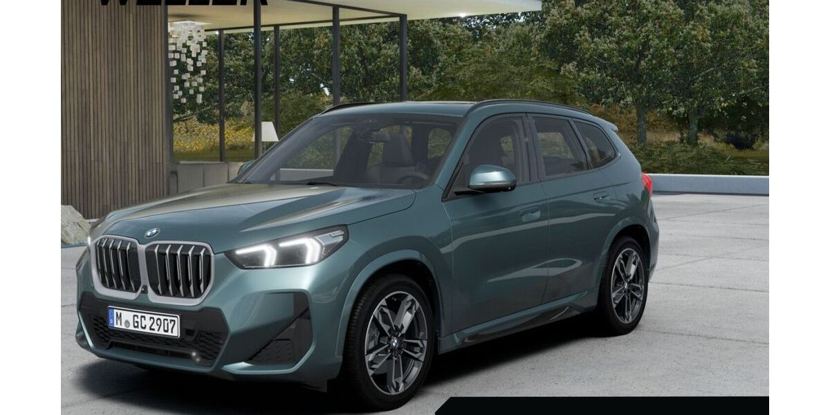 BMW X1 9.043 km 39.650 &euro; Kronberg 61476
