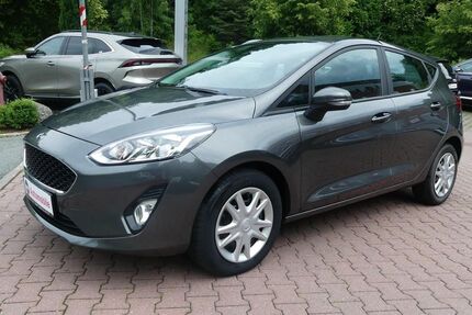 Ford Fiesta 107.600 km 8.490 &euro; Schneeberg 08289