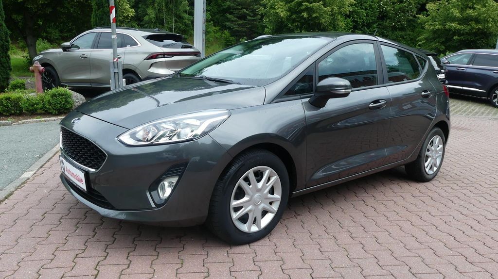 Ford Fiesta 107.600 km 8.990 &euro; Schneeberg 08289