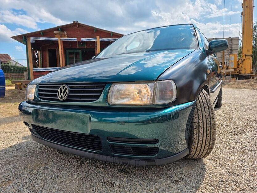 Polo