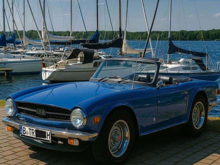 TR6