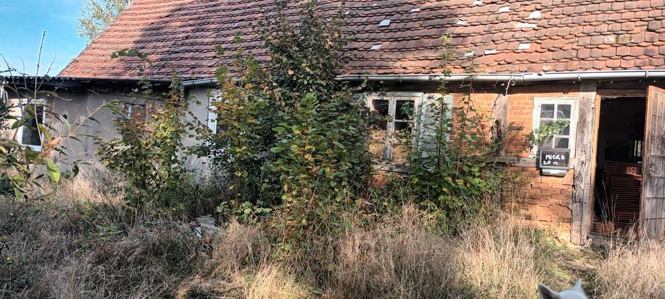Bauernhaus, Landhaus Lübz - 75.000&euro; | Angebot:26464434