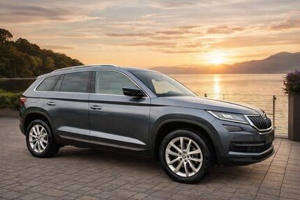 Skoda Kodiaq 195.000 km 21.999 &euro; Rostock 18109