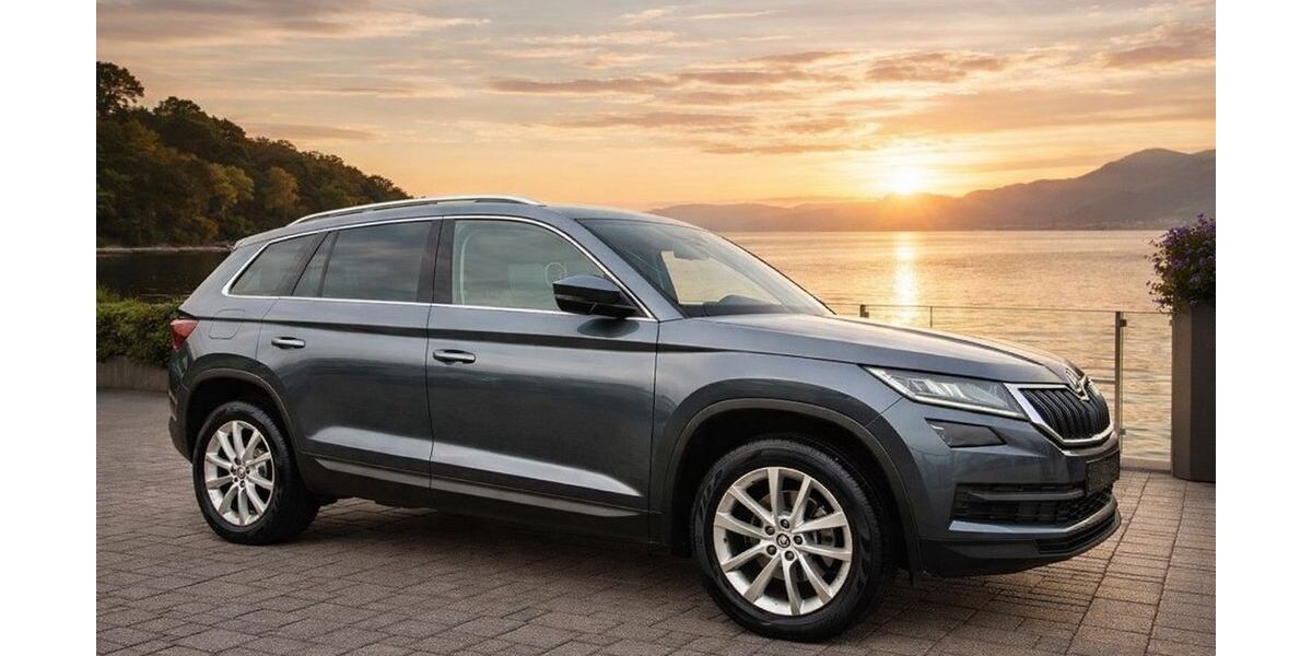 Skoda Kodiaq 195.000 km 21.999 &euro; Rostock 18109