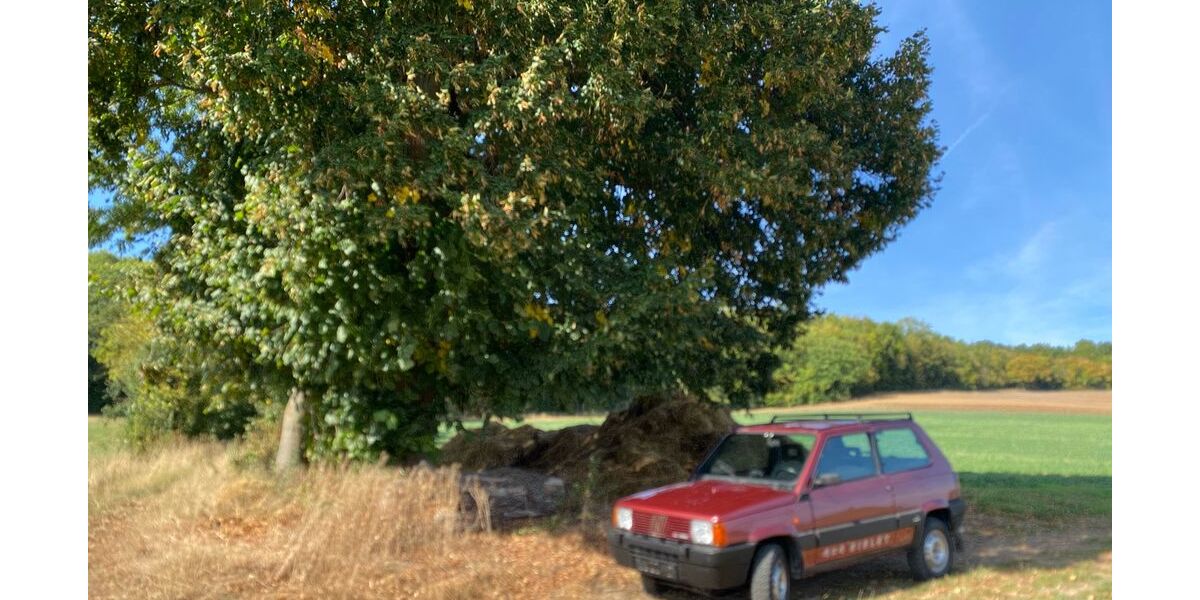 Fiat Panda 112.300 km 11.765 € Göttingen 37081