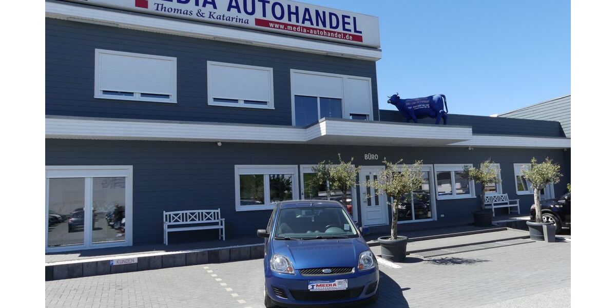 Ford Fiesta 152.000 km 2.000 &euro; Magdeburg 39108