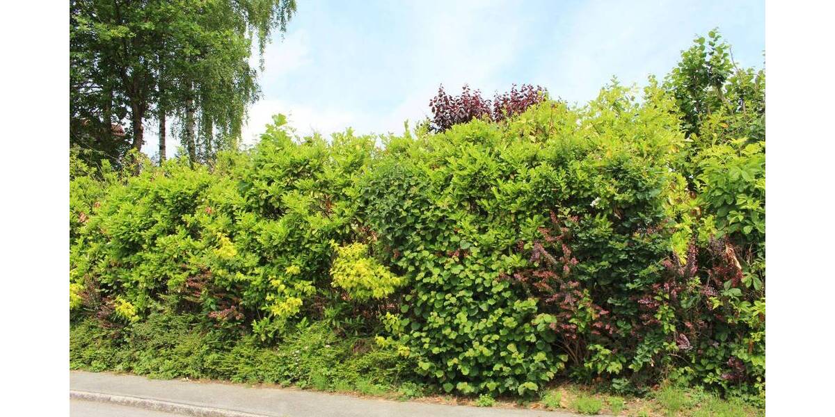 Grundstück Vilshofen an der Donau Alkofen - 120.000&euro; | Angebot:25728502