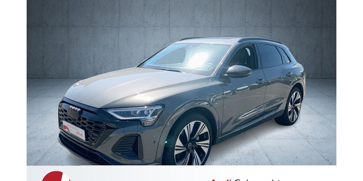 Audi Q8 e-tron 46.036 km 48.880 &euro; Neutraubling 93073