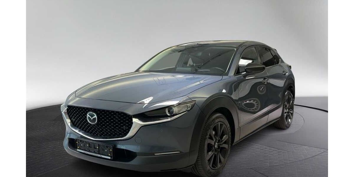 Mazda CX-30 131.900 km 17.890 &euro; München 80339