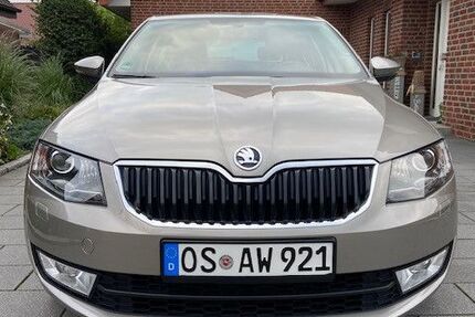 Skoda Octavia 19.200 km 13.990 € Neuenkirchen 49586