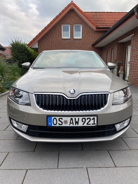 Skoda Octavia 19.200 km 13.990 € Neuenkirchen 49586