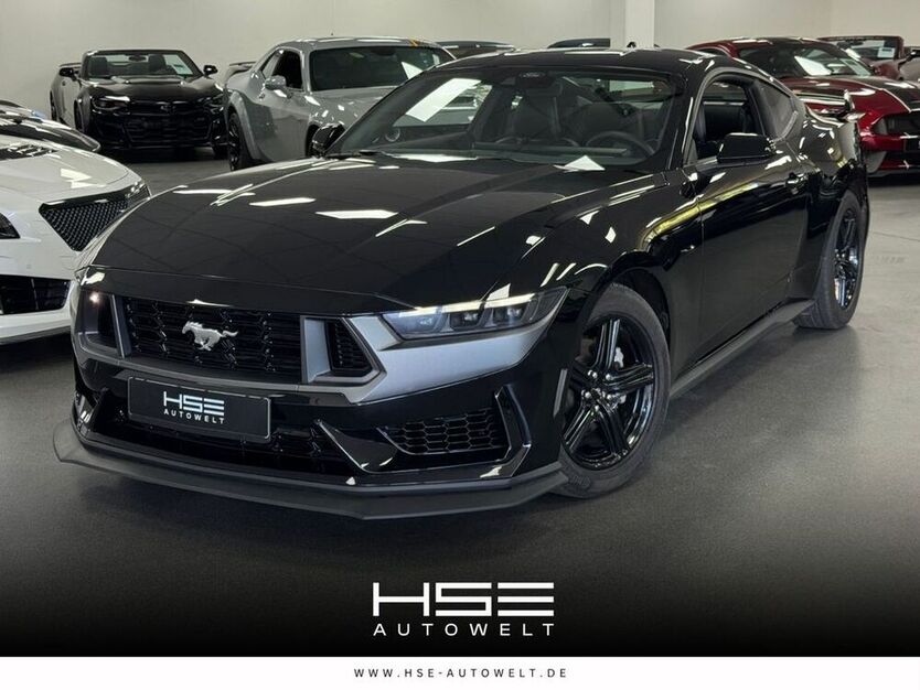 Mustang