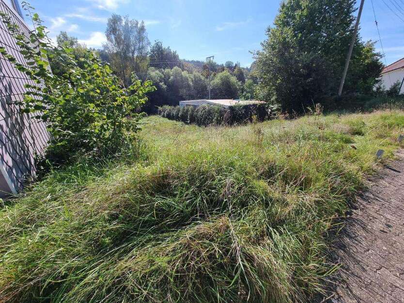 Grundstück zu verkaufen in Merzalben 39.000 € 620 m²