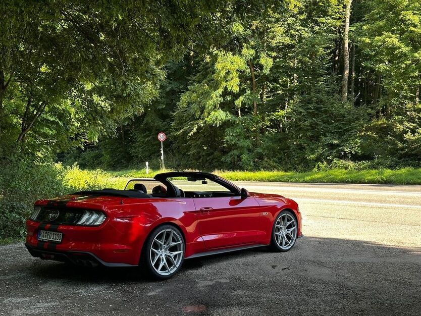 Mustang