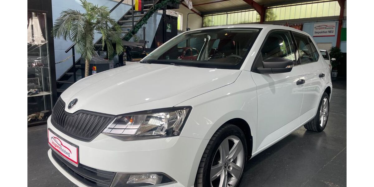 Skoda Fabia 99.000 km 7.490 &euro; Rheinberg 47495