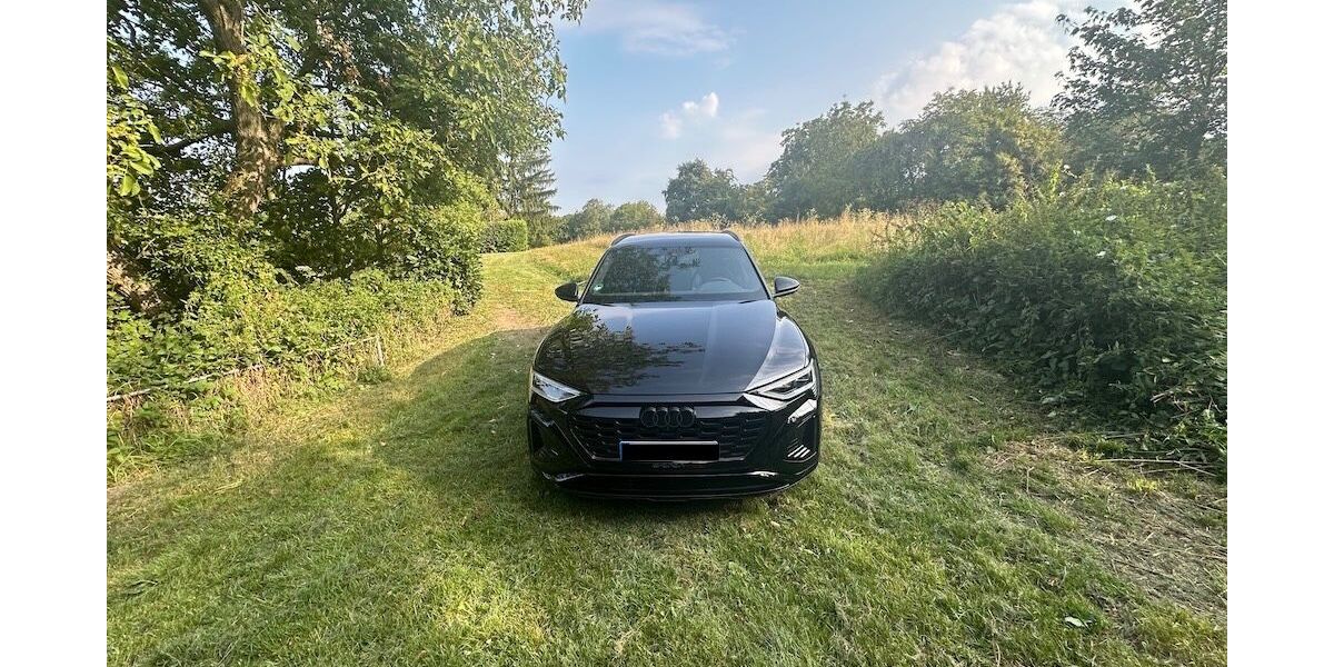 Audi Q8 e-tron 31.000 km 57.900 &euro; Bruchsal 76646
