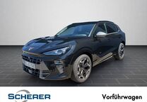 Gebrauchtwagen Cupra Terramar