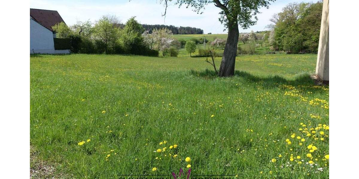 Grundstück Feuchtwangen Steinbach - 80.000&euro; | Angebot:25682839