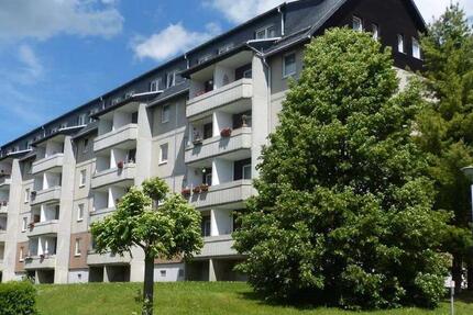 Wohnung Geyer - 2 Zimmer, 55 m&sup2;, 294&euro; | Angebot:25269307